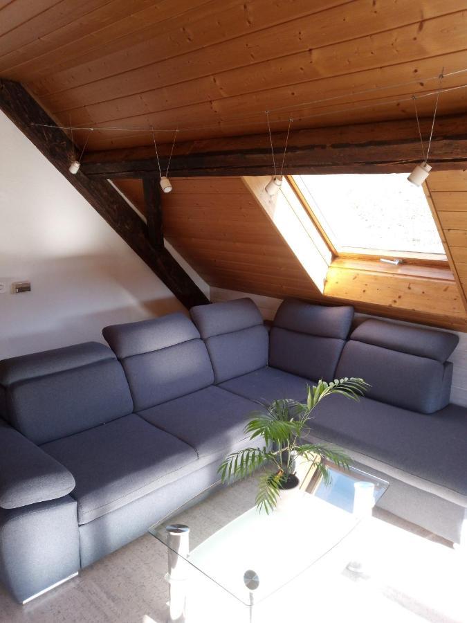 Bright, Sunny On The Farm Apartment Buchholterberg