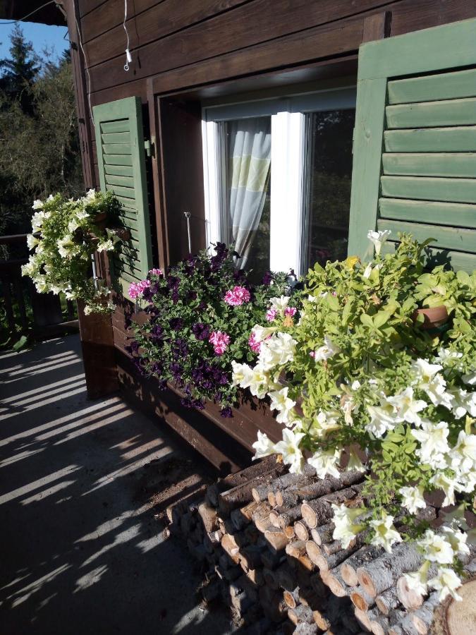 Bright, Sunny On The Farm Apartment